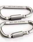 1-20Pcs/Set D-Shaped Camping Carabiner Aluminum Alloy Screw Lock Hook Clip Key-easygoing4-2PCS Style A-Bargain Bait Box
