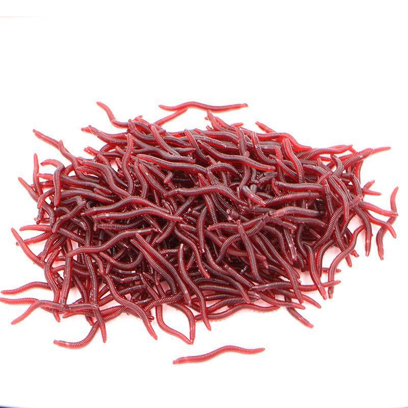 100Pcs 3.5Cm 0.2G Simulation Earthworm Worms Artificial Fishing Lure Plastic-Ningyo Hime Official Store-Bargain Bait Box