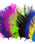 10Pcs Multiple Colors Ostrich Feather Fly Tying Material Making Streamer Bugs-Fly Tying Materials-Bargain Bait Box-Color 1-Bargain Bait Box
