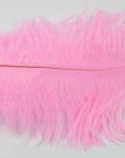 10Pcs Multiple Colors Ostrich Feather Fly Tying Material Making Streamer Bugs-Fly Tying Materials-Bargain Bait Box-Color 3-Bargain Bait Box