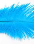 10Pcs Multiple Colors Ostrich Feather Fly Tying Material Making Streamer Bugs-Fly Tying Materials-Bargain Bait Box-Color 6-Bargain Bait Box