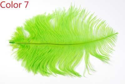 10Pcs Multiple Colors Ostrich Feather Fly Tying Material Making Streamer Bugs-Fly Tying Materials-Bargain Bait Box-Color 7-Bargain Bait Box