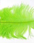 10Pcs Multiple Colors Ostrich Feather Fly Tying Material Making Streamer Bugs-Fly Tying Materials-Bargain Bait Box-Color 7-Bargain Bait Box