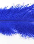 10Pcs Multiple Colors Ostrich Feather Fly Tying Material Making Streamer Bugs-Fly Tying Materials-Bargain Bait Box-Color 9-Bargain Bait Box