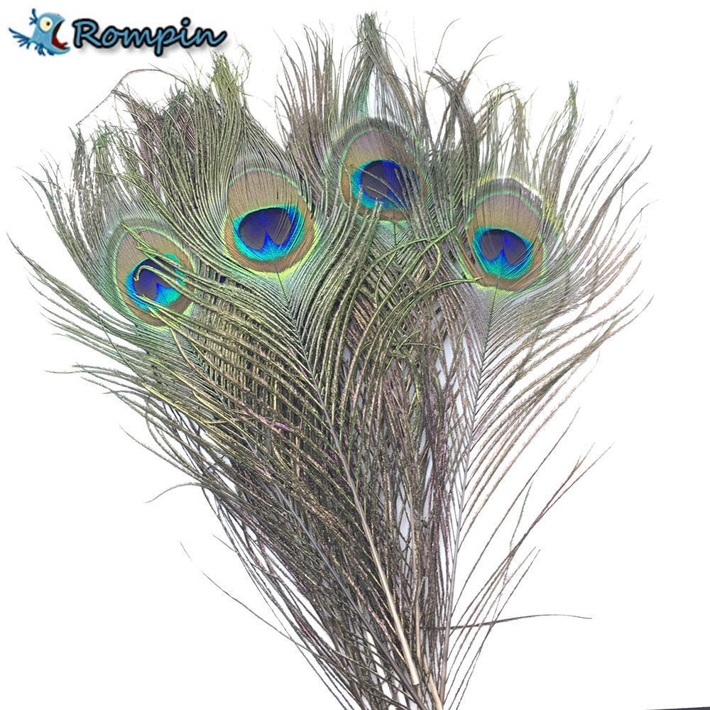 10Pcs Natural Peacock Tail Eye Hair For Fly Tying Streamer Slamon Flies Olive-Fly Tying Materials-Bargain Bait Box-Bargain Bait Box