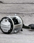 12+1Bb Drum Saltwater Fishing Reel Centrifugal Brake System Baitcasting-Baitcasting Reels-YPYC Sporting Store-2000 Series-Bargain Bait Box