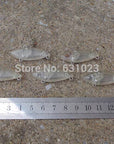 12Pcs Unpainted Clear Plastic Fishing Lure Bodies. 277