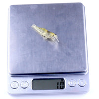 1Pc 45Mm Small Bionic Soft Lure Isca Artificial Luminous Prox Prawn Shrimp-OUTDOODR EXPERT Store-Bargain Bait Box