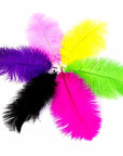 20Pcs Fly Tying Materials Ostrich Herl Feathers Multicolor Trout Fly Fishing-Fly Tying Materials-Bargain Bait Box-Bargain Bait Box