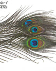 20Pcs Natural Peacock Tail Eye Hair For Fly Tying Streamer Slamon Flies Olive-Fly Tying Materials-Bargain Bait Box-Bargain Bait Box