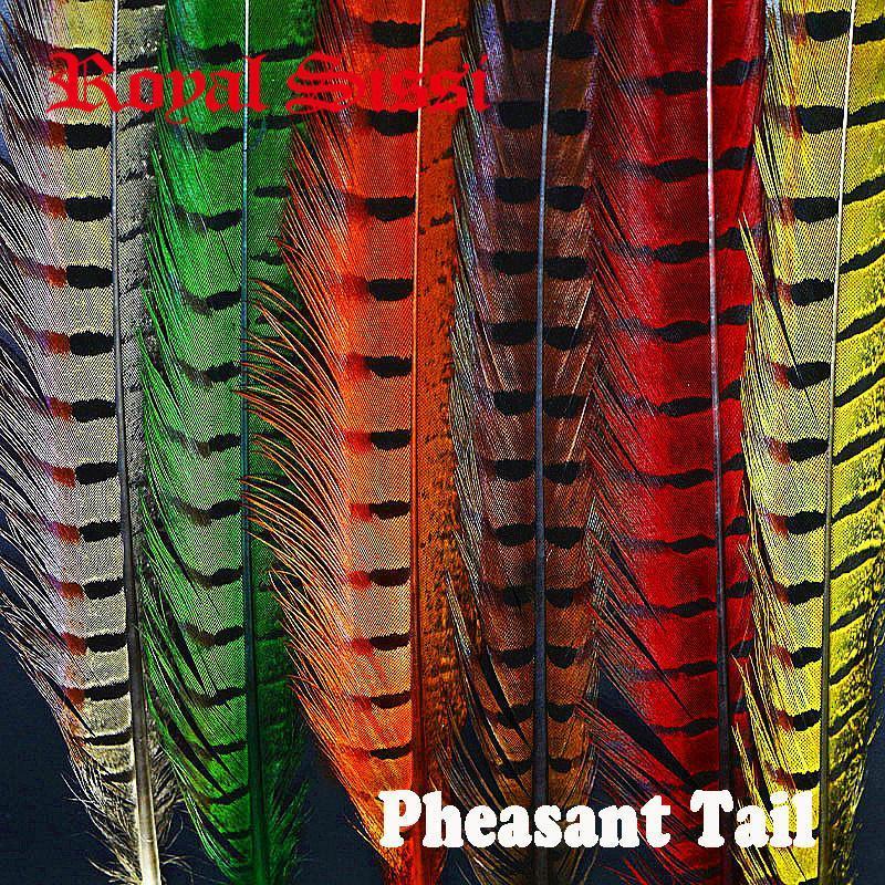 24Pcs 6Colors Combo 40Cm Pheasant Feather& Ringneck Pheasant Tail Fly Tying-Fly Tying Materials-Bargain Bait Box-Bargain Bait Box