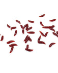 50 Pcs 1.5Cm 0.12G Maggot Grub Soft Lure Protein Soft Bait Worm Fishing Lures-Skmially Store-50pcs-Luminous-Bargain Bait Box