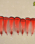 [50Pcs] Lady Amherst Tippet Feather Natural White Red Yellow Pink Purple Green-Fly Tying Materials-Bargain Bait Box-Red-Bargain Bait Box