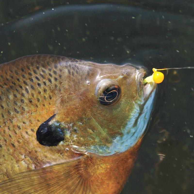 50Pcs Micro Jigs Head Sunfish Lures Ball Lead Head Crappie Jig Hooks Feather-Yazhida fishing tackle-A-Bargain Bait Box