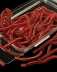 50Pcs/Box Artificial Earthworm Fishing Lure Blood Worm Maggot Soft Bait River-FIZZ Official Store-Bargain Bait Box