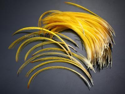 Hand Selected Golden Pheasant Crest Feathers Natural Fly Tying Material;-Fly Tying Materials-Bargain Bait Box-Large-Bargain Bait Box