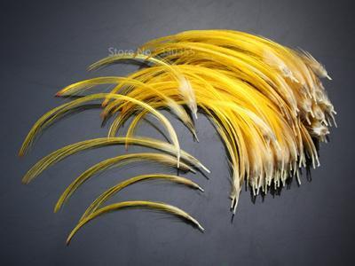Hand Selected Golden Pheasant Crest Feathers Natural Fly Tying Material;-Fly Tying Materials-Bargain Bait Box-Medium-Bargain Bait Box