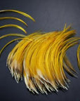 Hand Selected Golden Pheasant Crest Feathers Natural Fly Tying Material;-Fly Tying Materials-Bargain Bait Box-Small-Bargain Bait Box