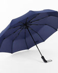 Jesse Kamm Fully-Automatic Three Folding Male Commercial Compact Large Strong-Umbrellas-Bargain Bait Box-Blue-China-Bargain Bait Box