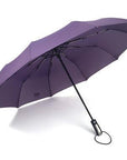 Jesse Kamm Fully-Automatic Three Folding Male Commercial Compact Large Strong-Umbrellas-Bargain Bait Box-Purple-China-Bargain Bait Box