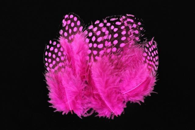 Tigofly 100 Pcs/Lot 11 Colors Loose Guinea Pearl Hen Feather Fowl Plumage-Fly Tying Materials-Bargain Bait Box-Hot Pink-Bargain Bait Box