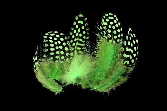 Tigofly 100 Pcs/Lot 11 Colors Loose Guinea Pearl Hen Feather Fowl Plumage-Fly Tying Materials-Bargain Bait Box-Light Green-Bargain Bait Box