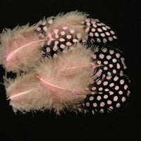 Tigofly 100 Pcs/Lot 11 Colors Loose Guinea Pearl Hen Feather Fowl Plumage-Fly Tying Materials-Bargain Bait Box-Light Pink-Bargain Bait Box