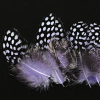 Tigofly 100 Pcs/Lot 11 Colors Loose Guinea Pearl Hen Feather Fowl Plumage-Fly Tying Materials-Bargain Bait Box-Light Purple-Bargain Bait Box