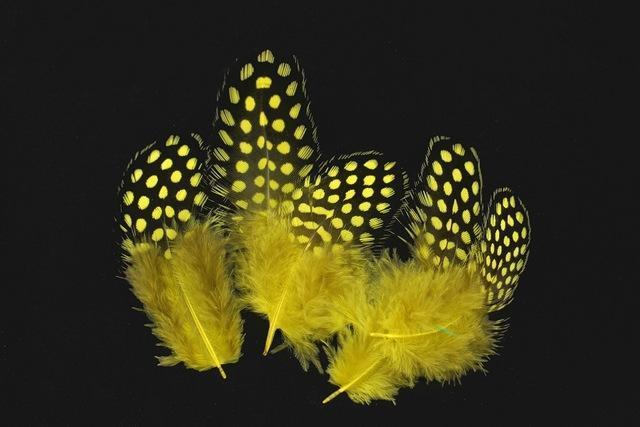 Tigofly 100 Pcs/Lot 11 Colors Loose Guinea Pearl Hen Feather Fowl Plumage-Fly Tying Materials-Bargain Bait Box-Yellow-Bargain Bait Box