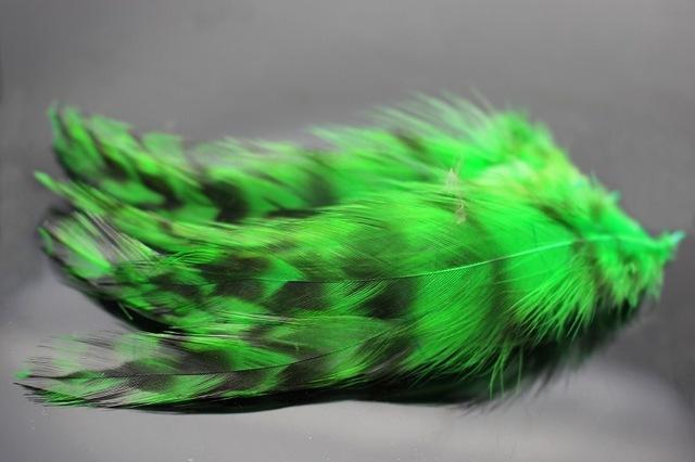 Tigofly 30 Pcs 3 Colors Black Barred Natural Grizzly Rooster Hackles Feathers-Fly Tying Materials-Bargain Bait Box-Green-Bargain Bait Box