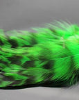 Tigofly 30 Pcs 3 Colors Black Barred Natural Grizzly Rooster Hackles Feathers-Fly Tying Materials-Bargain Bait Box-Green-Bargain Bait Box