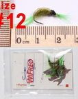 Wifreo 6Pcs Trout Fly Fishing Flies Nymph Chironomids Buzzers Worm Scud Pheasant-Flies-Bargain Bait Box-green scud-Bargain Bait Box