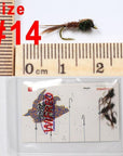 Wifreo 6Pcs Trout Fly Fishing Flies Nymph Chironomids Buzzers Worm Scud Pheasant-Flies-Bargain Bait Box-pheasant tail nymph-Bargain Bait Box
