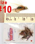 Wifreo 6Pcs Trout Fly Fishing Flies Nymph Chironomids Buzzers Worm Scud Pheasant-Flies-Bargain Bait Box-prince nymph-Bargain Bait Box