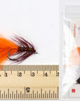 Wifreo 6Pcs Trout Fly Fishing Flies Streamer Fly Muddler Egg Leech Peacock-Flies-Bargain Bait Box-prince nymph-Bargain Bait Box