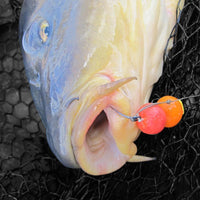 Bimoo 12Pcs 8Mm 10Mm 12Mm 14Mm Colored Pop Up Carp Fishing Boilies Flavoured-Bimoo Fishing Tackle Store-12pcs Mimic Corn-Bargain Bait Box