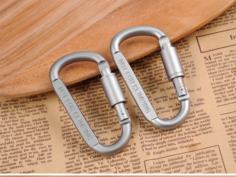 D-Shaped Aluminum Alloy Carabiner Screw Lock Hook Clip Key Ring Travel Camping-Sportswear & Outdoor Tools Store-1 PCS-Bargain Bait Box