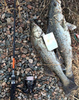 Goture 10Pcs/Lot 11Cm/13.5G Minnow Fishing Lures Wobblers Fishing Lure Crankbait-Pisfun fishing store-Bargain Bait Box