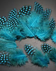 Guinea Hen Feather Hackle Fly Tying Material Hand Selected, 4.5 To 6.5Cm-Fly Tying Materials-Bargain Bait Box-Blue-Bargain Bait Box