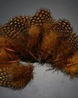 Guinea Hen Feather Hackle Fly Tying Material Hand Selected, 4.5 To 6.5Cm-Fly Tying Materials-Bargain Bait Box-Brown-Bargain Bait Box