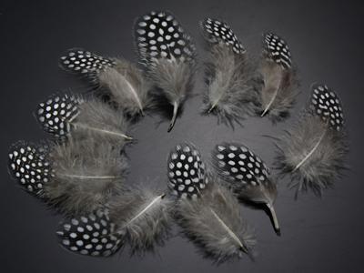 Guinea Hen Feather Hackle Fly Tying Material Hand Selected, 4.5 To 6.5Cm-Fly Tying Materials-Bargain Bait Box-Natural-Bargain Bait Box