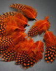 Guinea Hen Feather Hackle Fly Tying Material Hand Selected, 4.5 To 6.5Cm-Fly Tying Materials-Bargain Bait Box-Orange-Bargain Bait Box