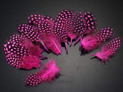 Guinea Hen Feather Hackle Fly Tying Material Hand Selected, 4.5 To 6.5Cm-Fly Tying Materials-Bargain Bait Box-Pink-Bargain Bait Box