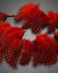 Guinea Hen Feather Hackle Fly Tying Material Hand Selected, 4.5 To 6.5Cm-Fly Tying Materials-Bargain Bait Box-Red-Bargain Bait Box