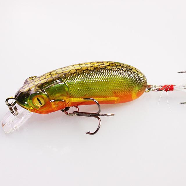 Hot Selling! 6Cm 10G Fishing Lures Swimming Crank Baits Artificial Bait Crap-Rembo fishing tackle Store-F-Bargain Bait Box