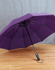 Jesse Kamm Big Strong Windproof Men Gentle Folding Compact Fully Automatic-Umbrellas-Bargain Bait Box-Purple-China-Bargain Bait Box