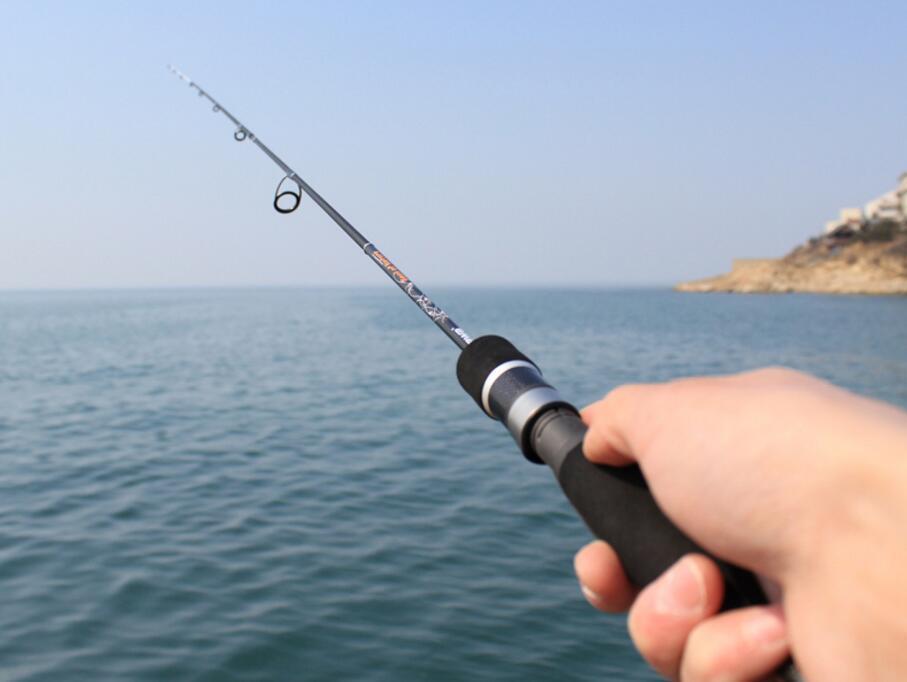 Lure Rod Fishing Rod Fishing Pole Super Light Super Fast Carbon Fiber –  Bargain Bait Box