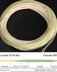 Maximumcatch 90Ft Trout Fly Fishing Line With Welded Loops 4/5/6Wt Beige/Sage-MAXIMUMCATCH Fishing Solution Store-White-Bargain Bait Box