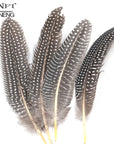 Mnft 10Pcs Natural Black Color White Dots Pheasant Feathers Fly Fishing Tying-Fly Tying Materials-Bargain Bait Box-Bargain Bait Box