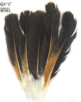 Mnft 10Pcs/Bag Chicken Wing Feathers Rooster Natural Black & Brown Plume Fly-Fly Tying Materials-Bargain Bait Box-Bargain Bait Box